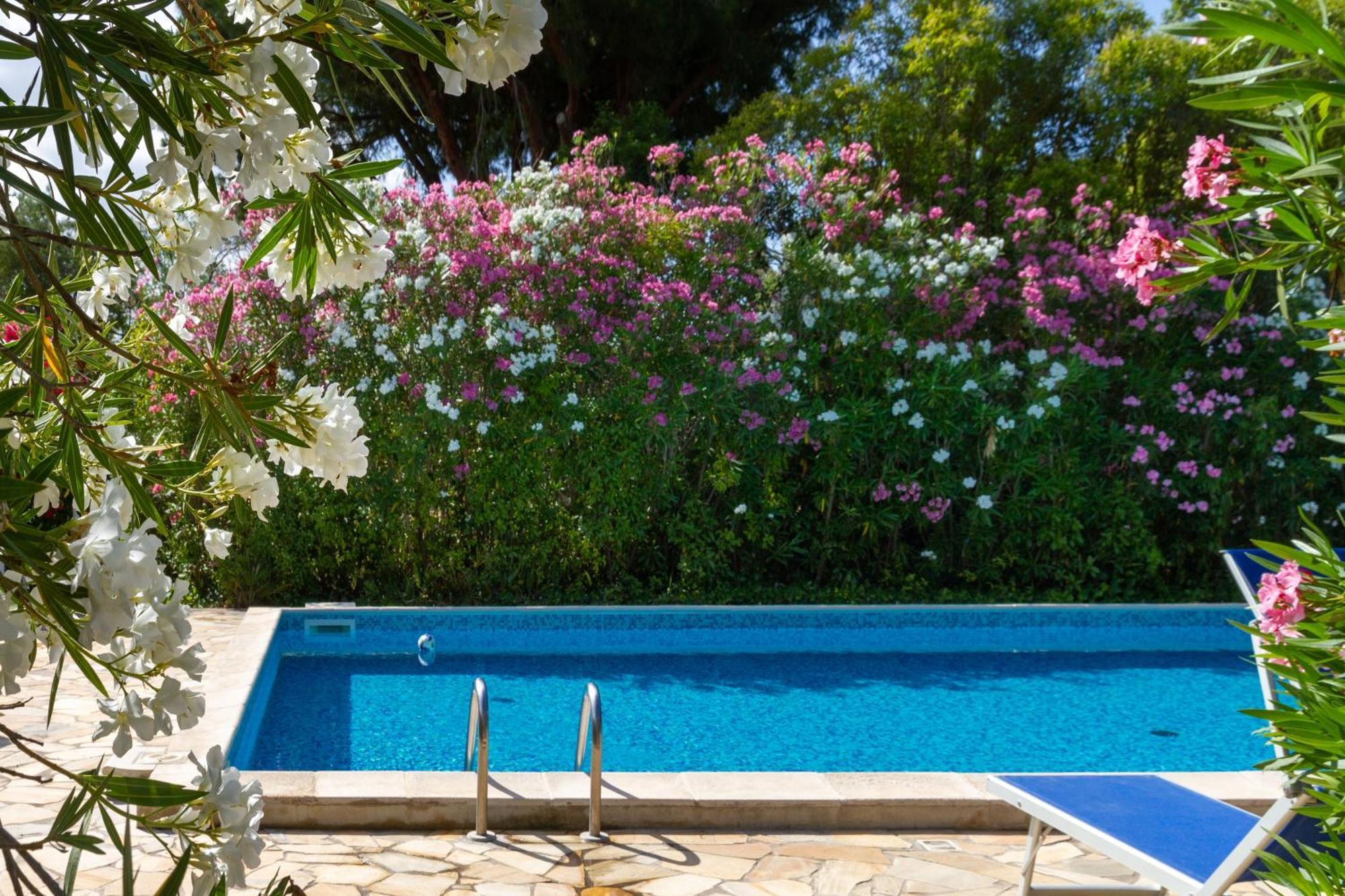 Villa Trilo Dalia Marina di Grosseto Exterior foto